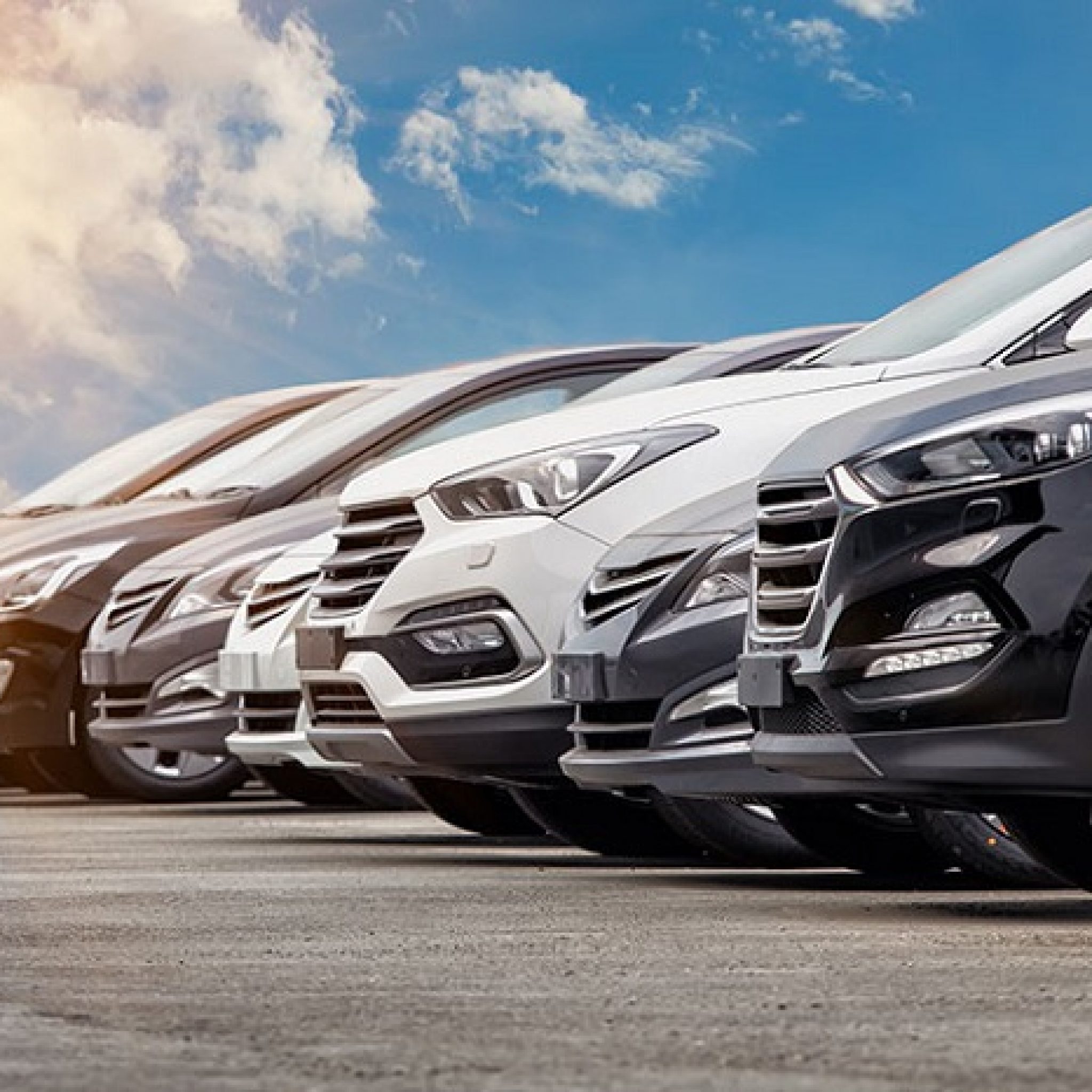 Extensive Range of Vehicles